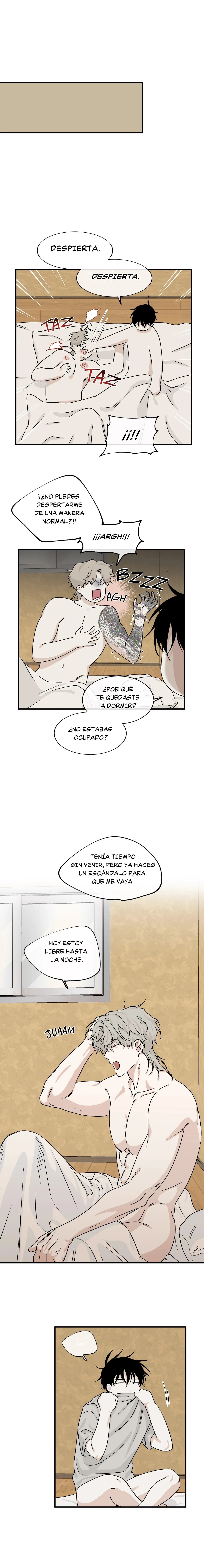 Página 11