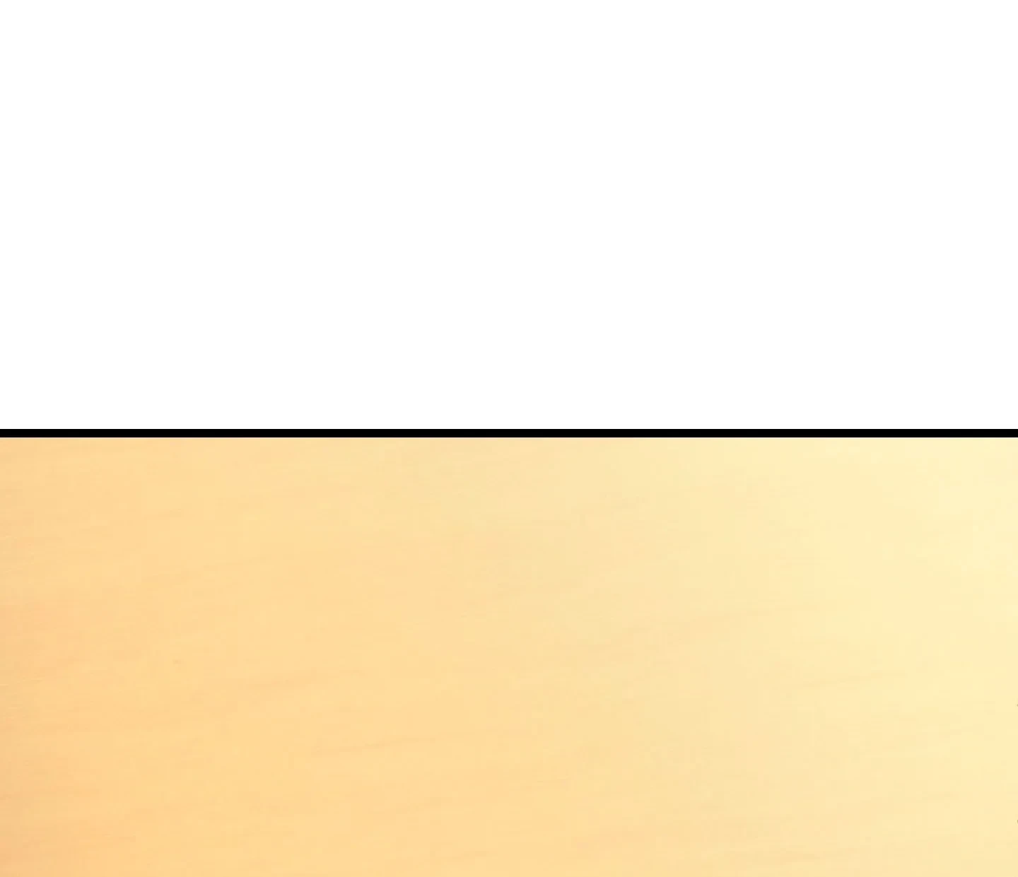 Página 60