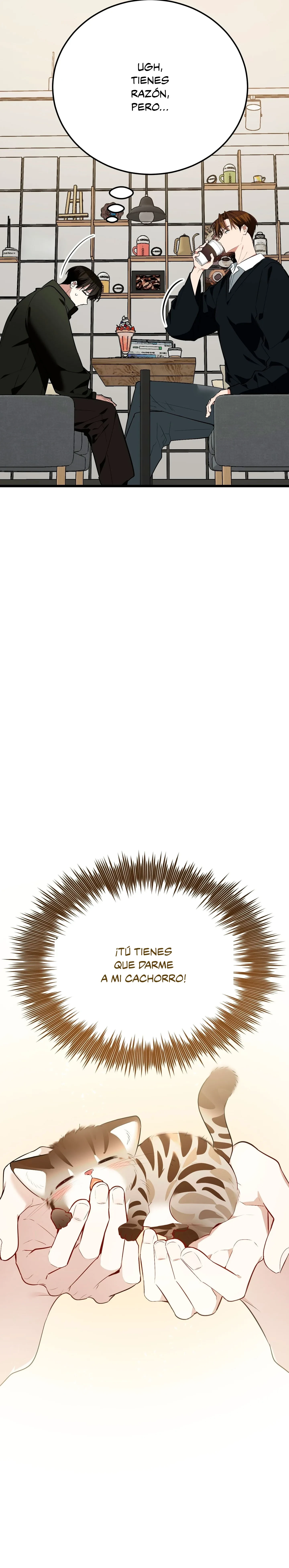 Página 34