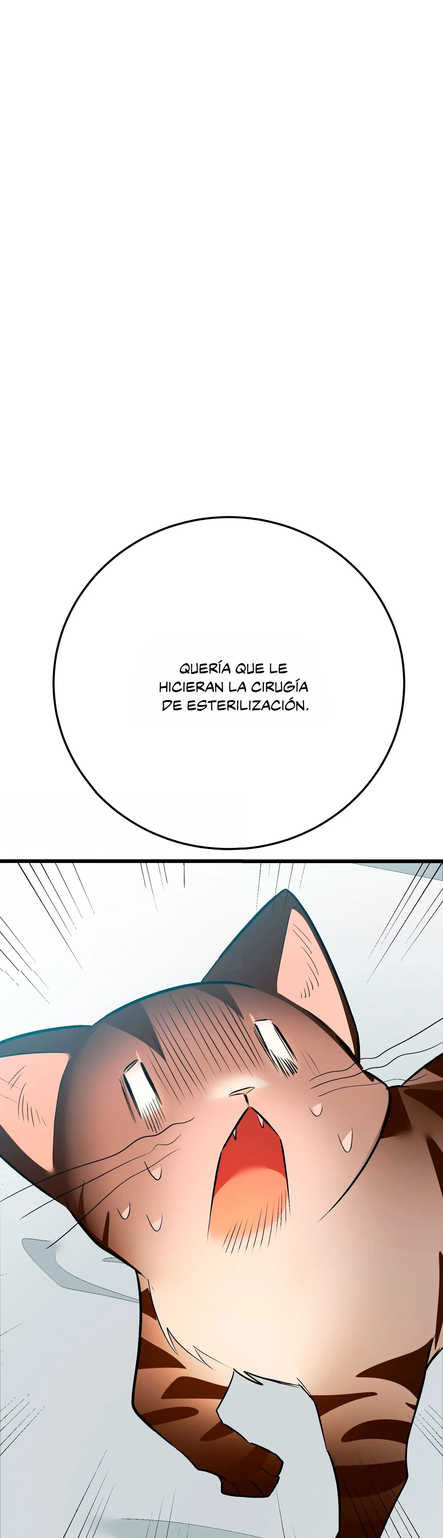 Página 50