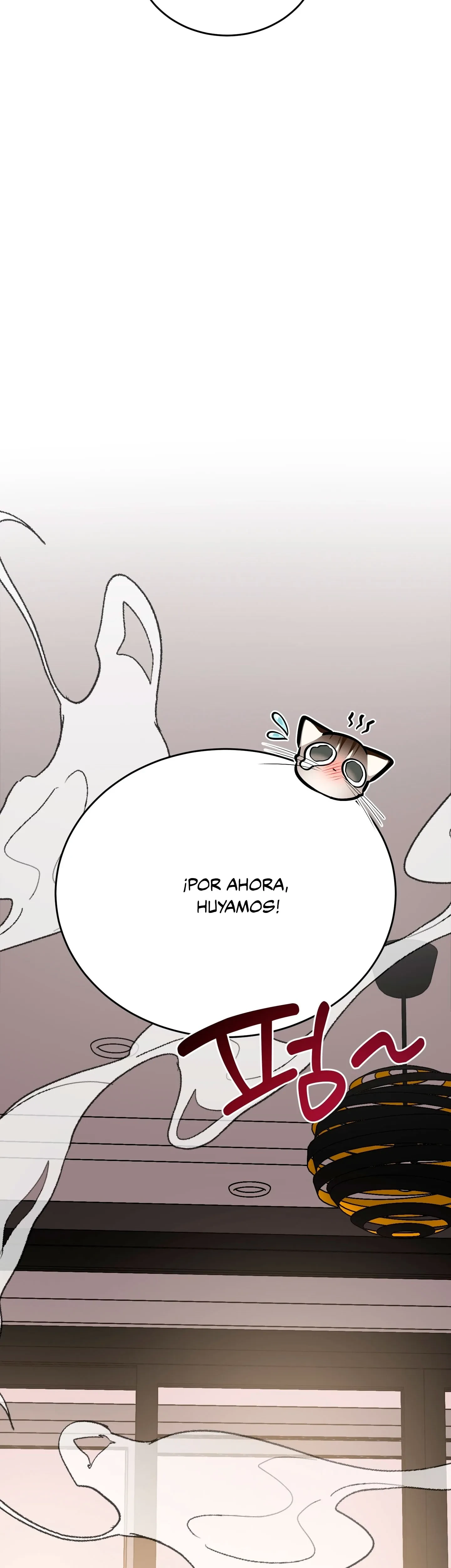 Página 44