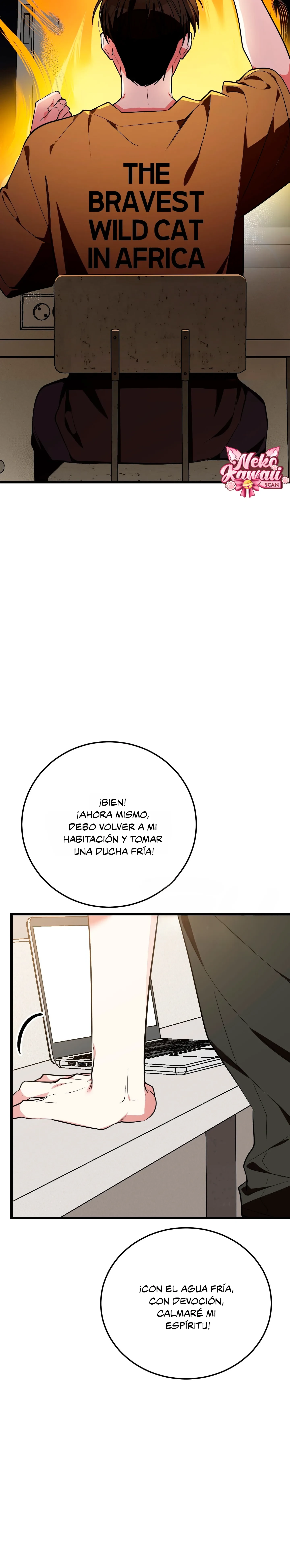Página 42