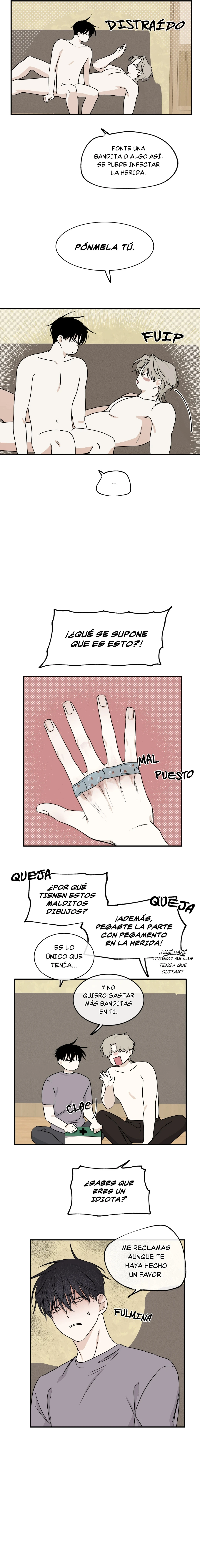 Página 12