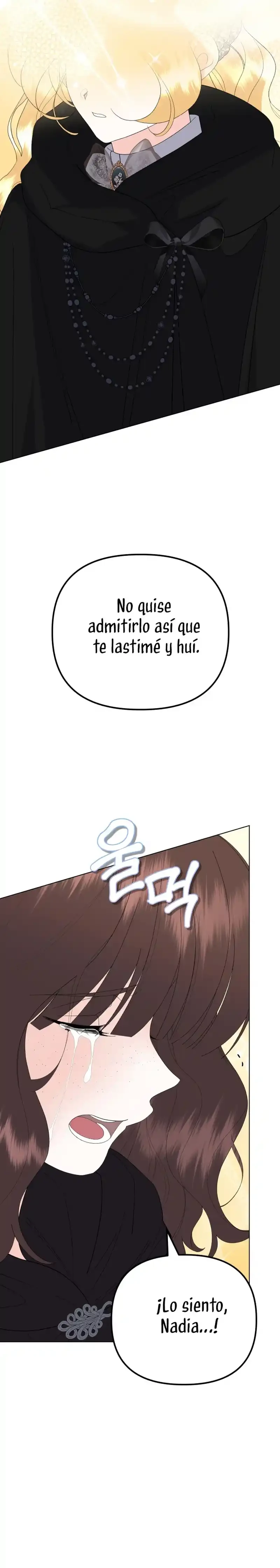 Página 41