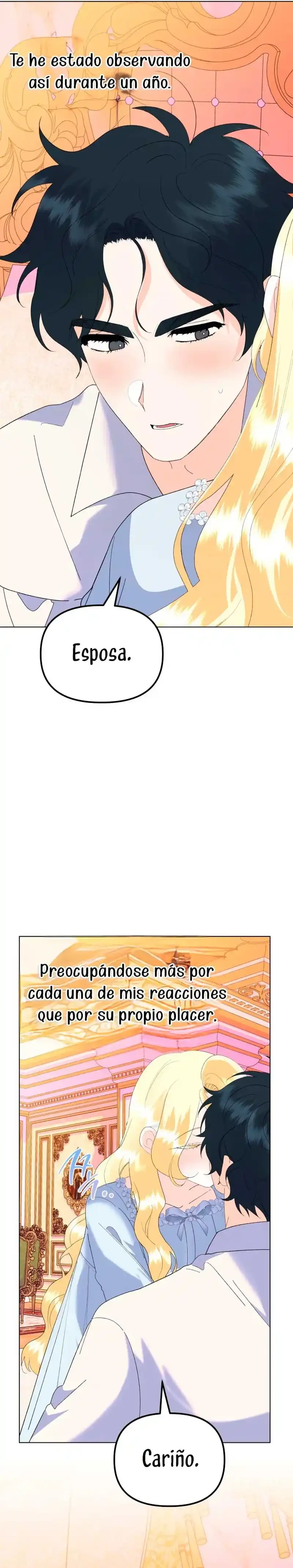 Página 41