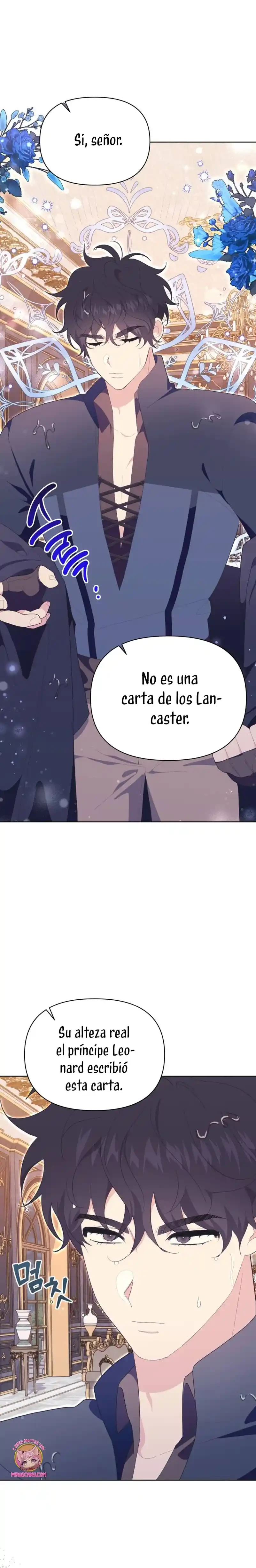 Página 28