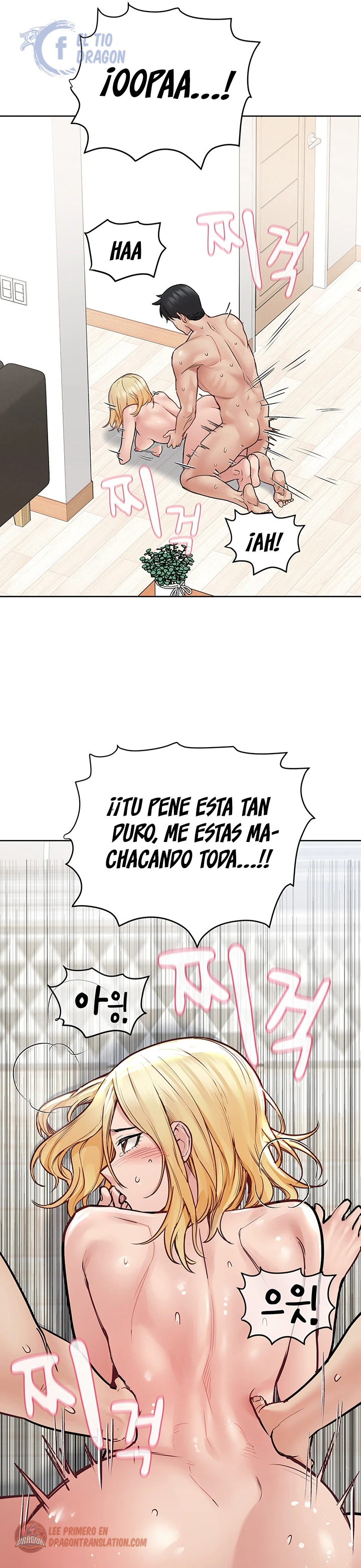 Página 44