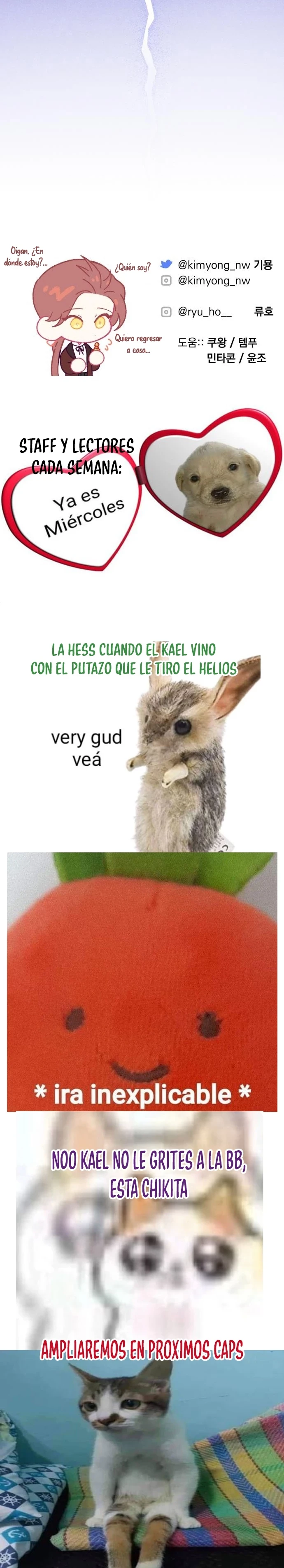 Página 31