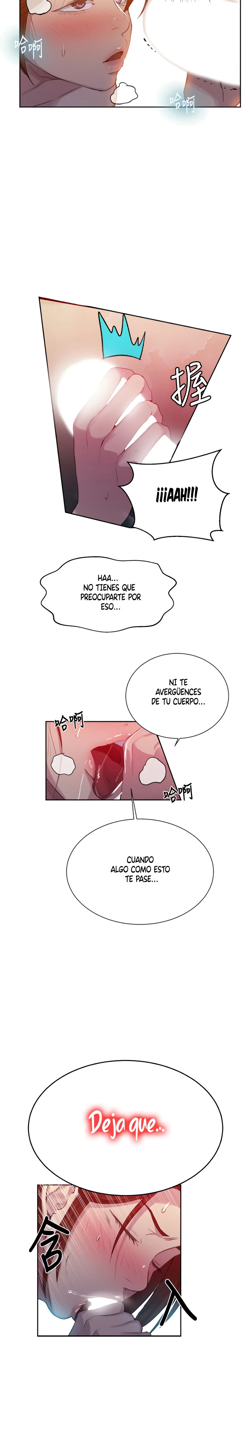Página 19