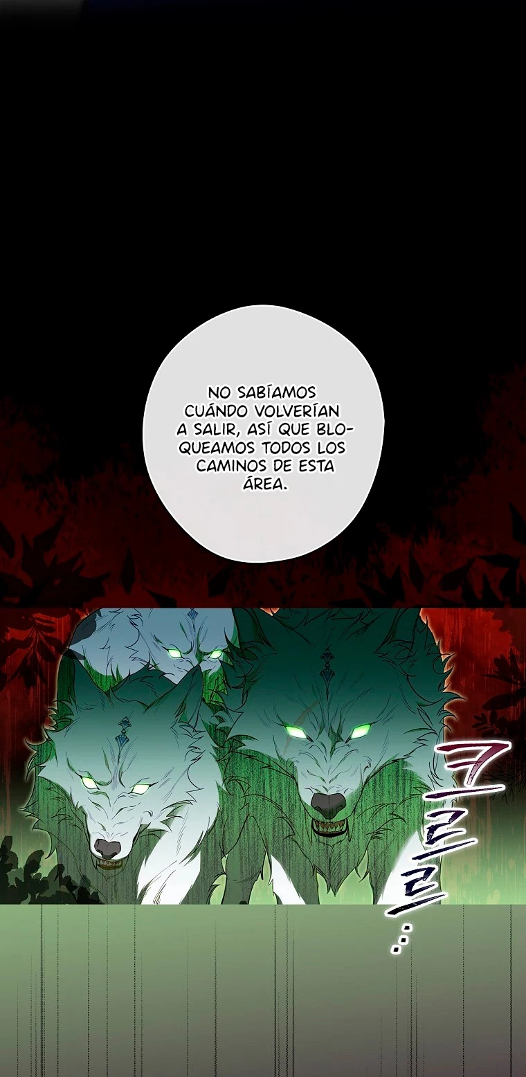 Página 41