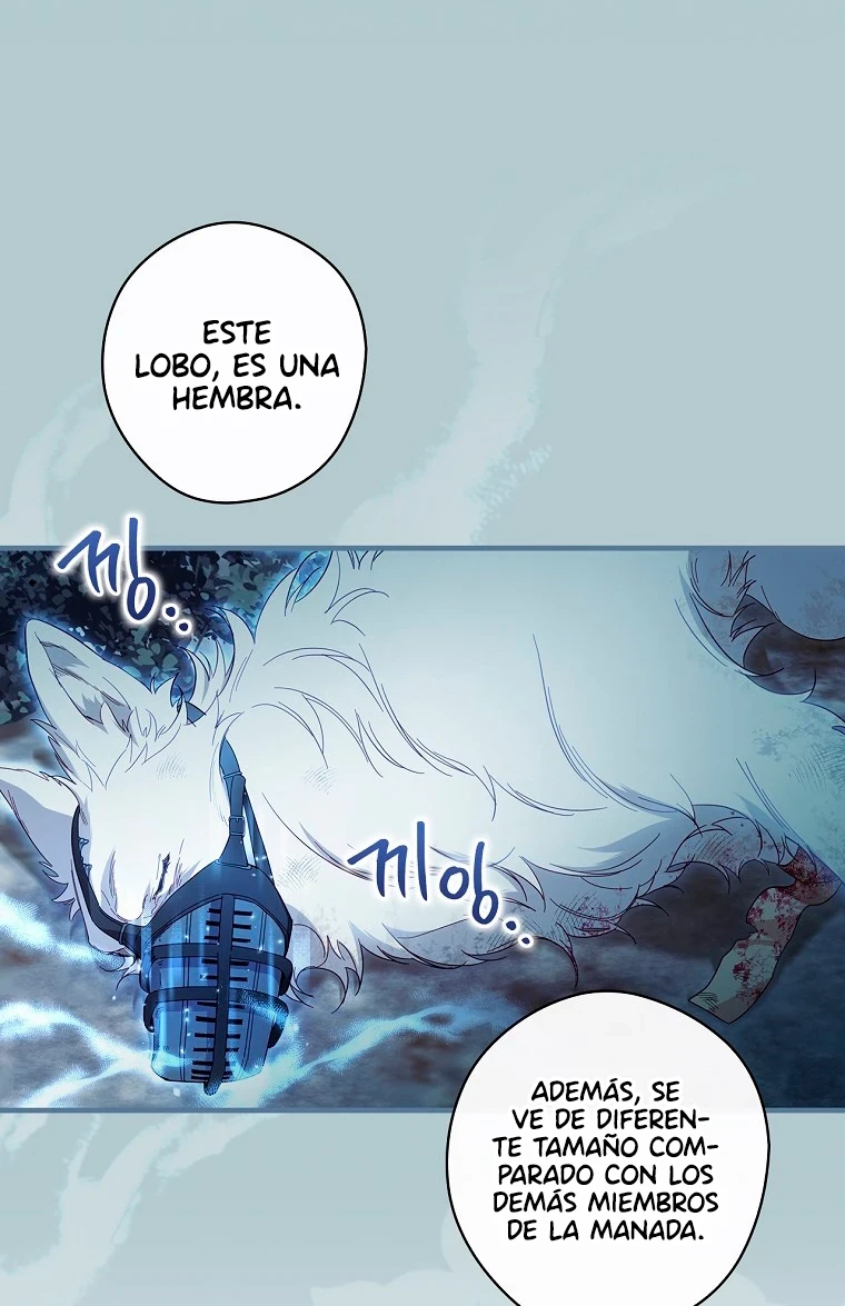 Página 42
