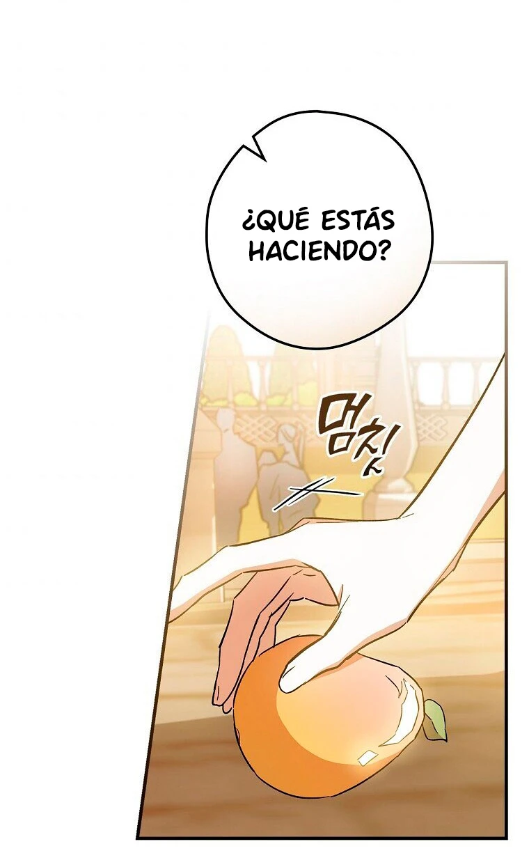 Página 46