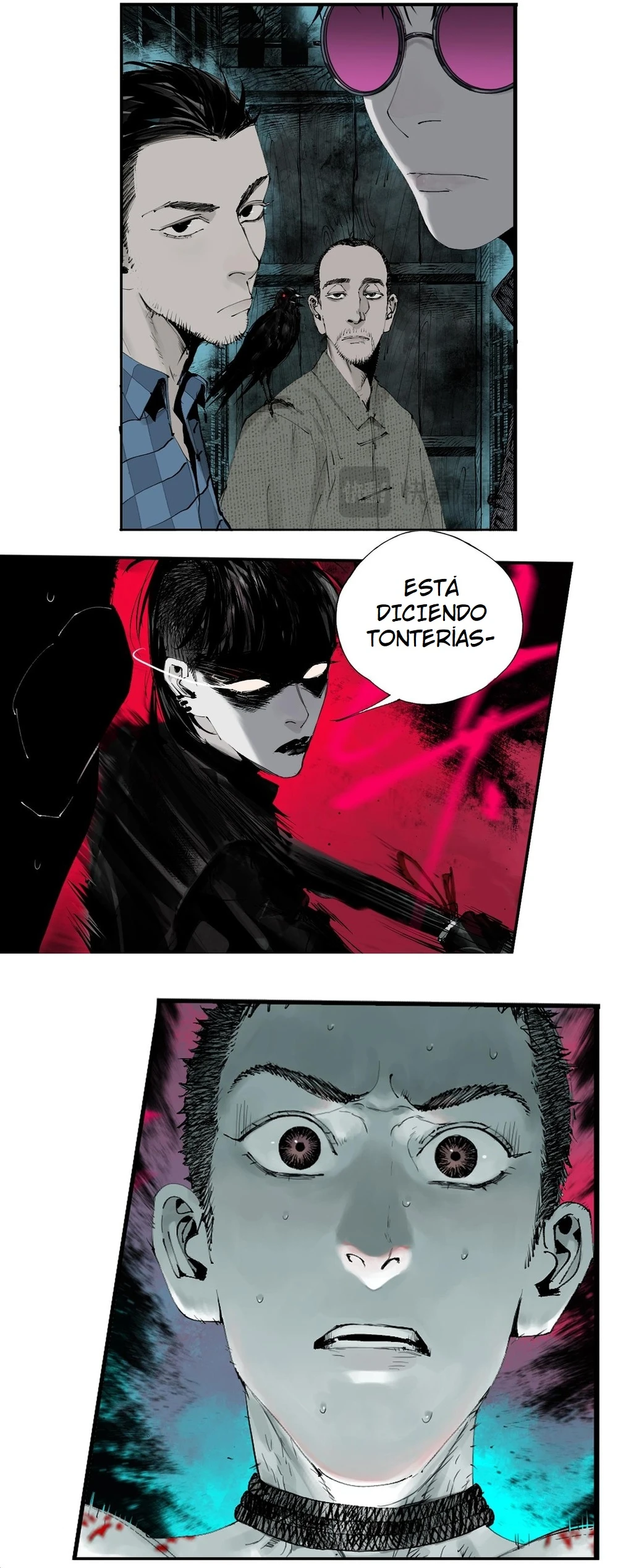 Página 5
