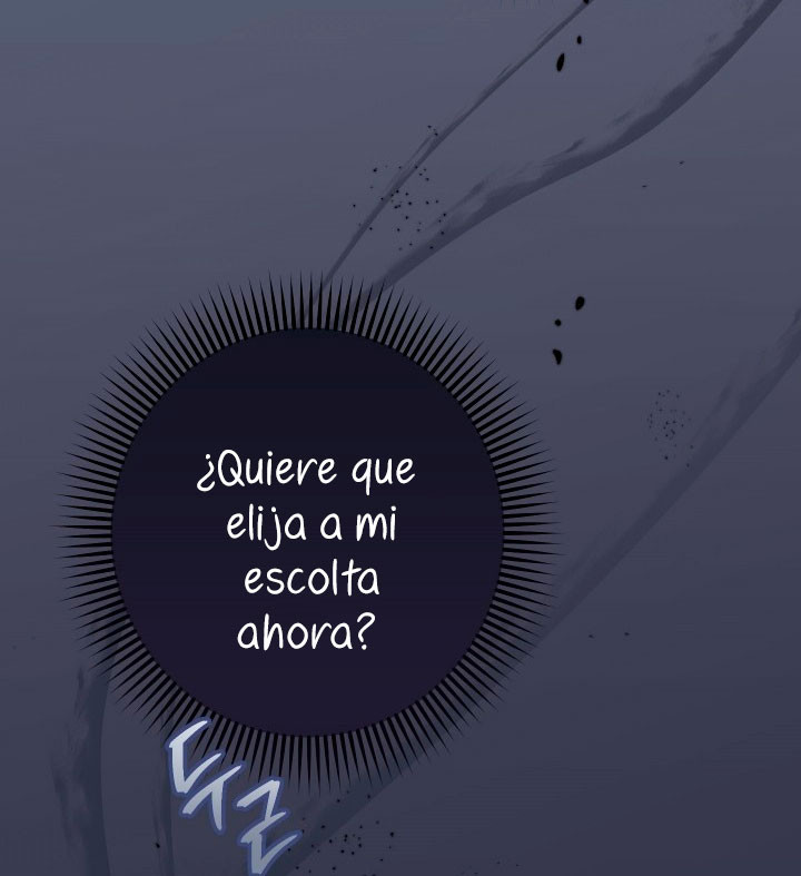 Página 113