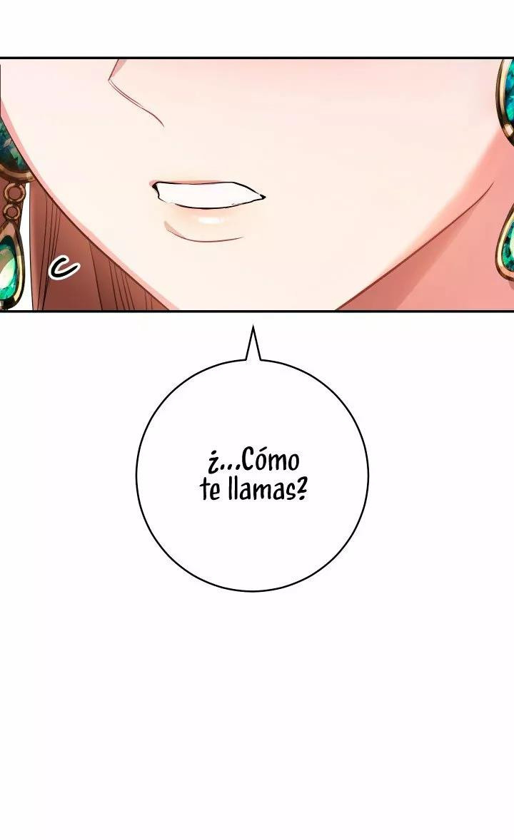 Página 111