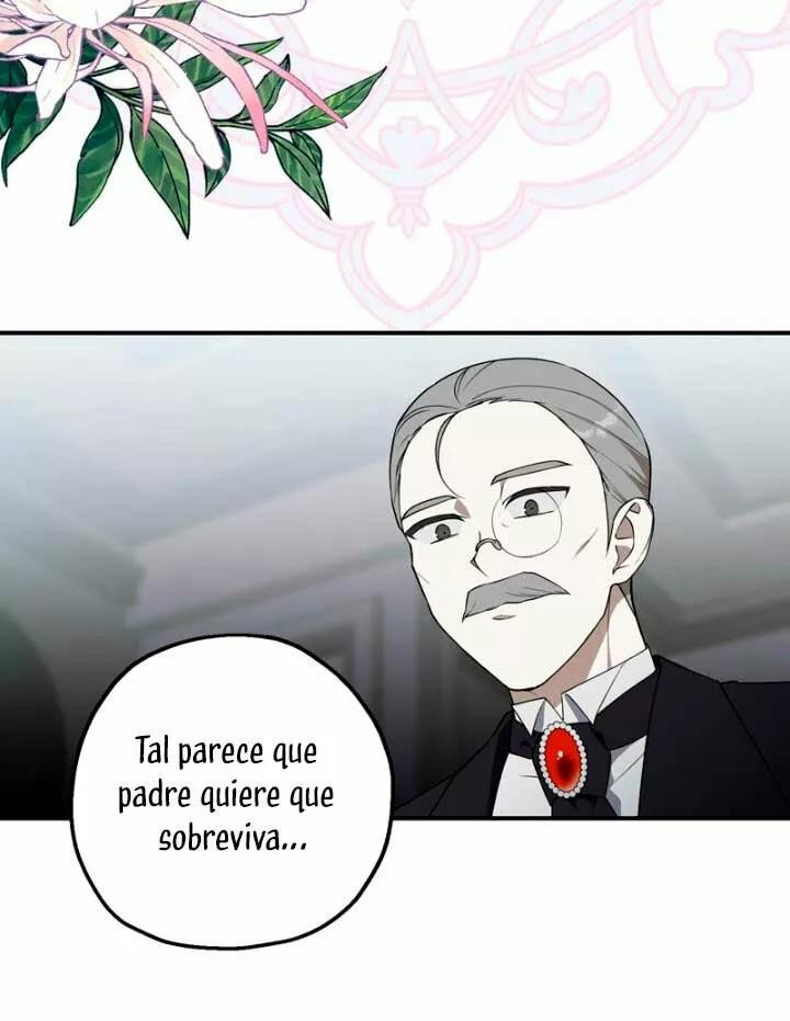 Página 52