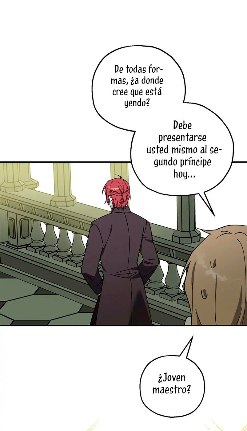 Página 43