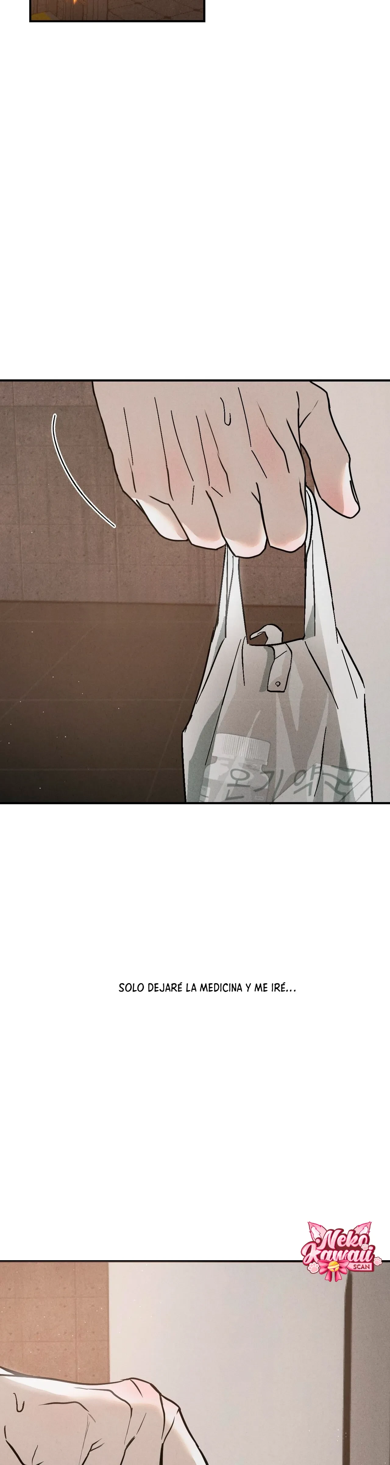 Página 49