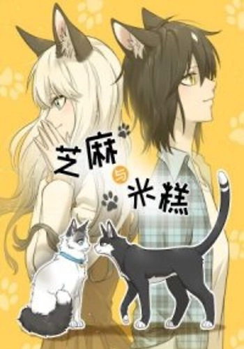 Sesame &amp; Ricecake