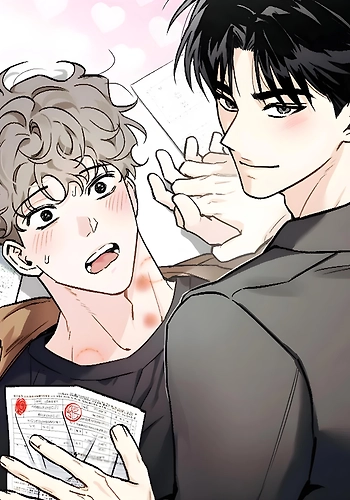 Un Apartamento Estudio será Suficiente