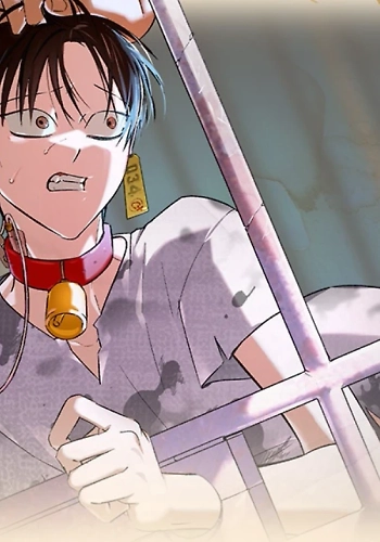 Informe del Rancho Humano