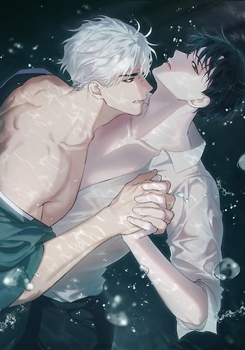 Entre Sueños y Sombras