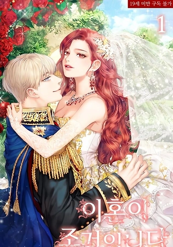 El Divorcio Es La Condición - Novela