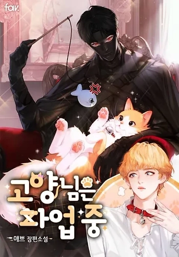 El gato está en huega