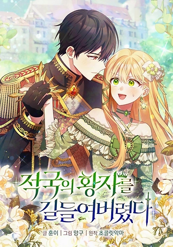 Domaré al Príncipe Enemigo