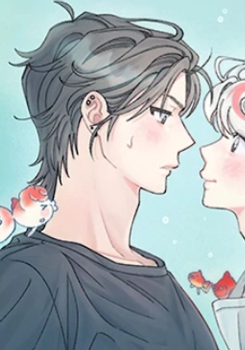 la encantadora oranda