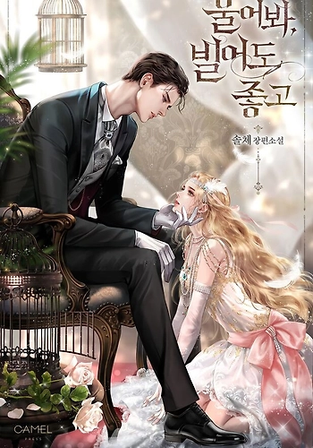 Llora, Aunque Es Mejor Si Suplicas - Novela