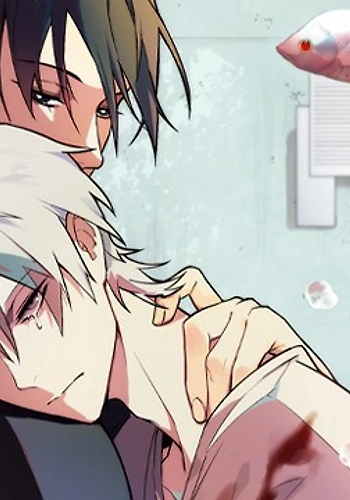 Habitacion sin ventanas