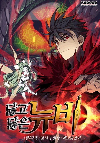 Novato roto y desgastado