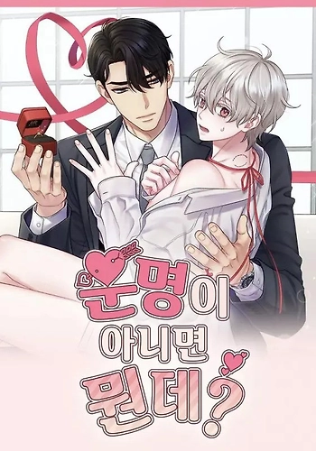 Si esto no es el destino, ¿qué es?